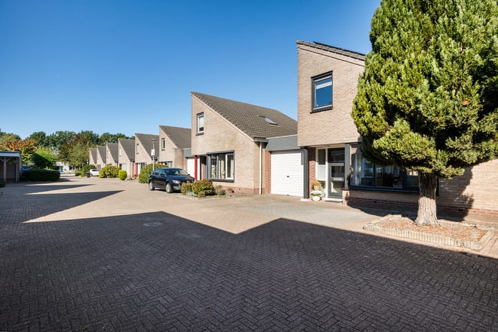 Foto 5 van Slechtvalk 34