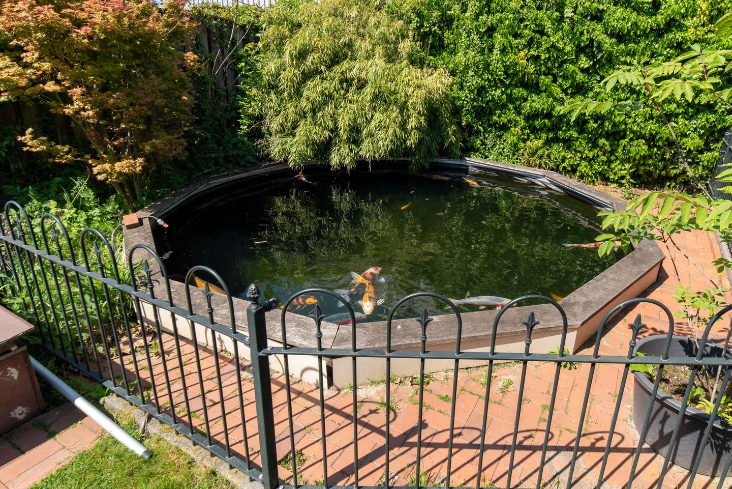 Foto 19 van Dannenberg 48