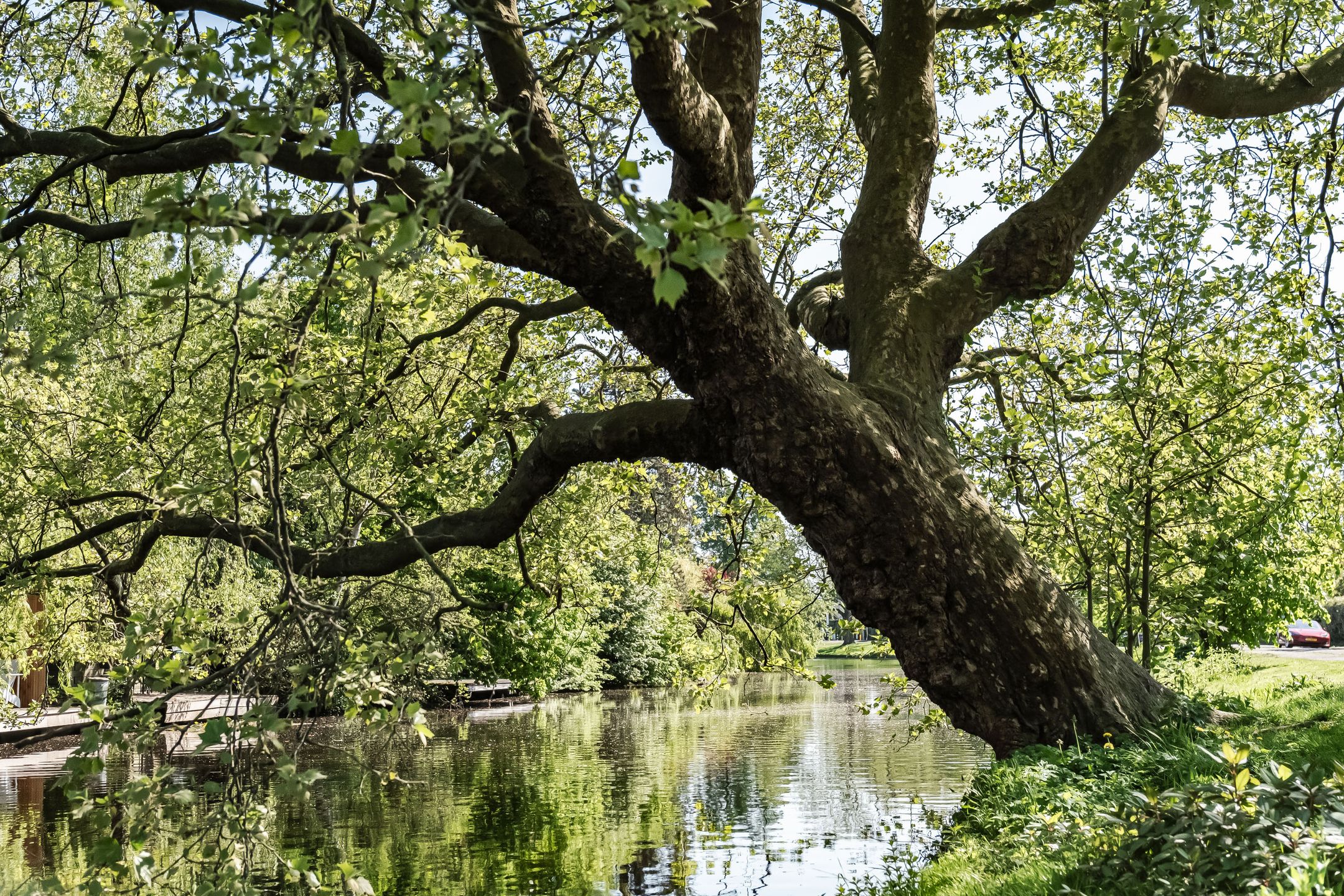 Foto 36 van Wagnerkade 67