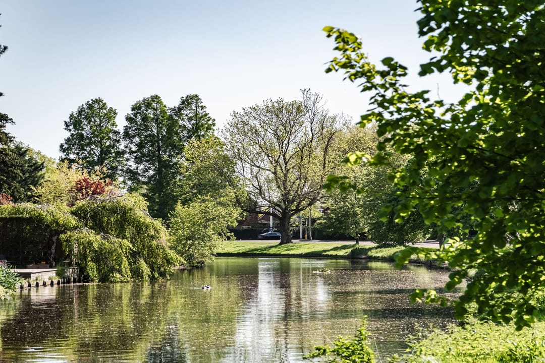 Foto 38 van Wagnerkade 67