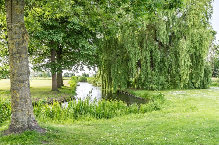 Foto 49 van Aziëlaan 374