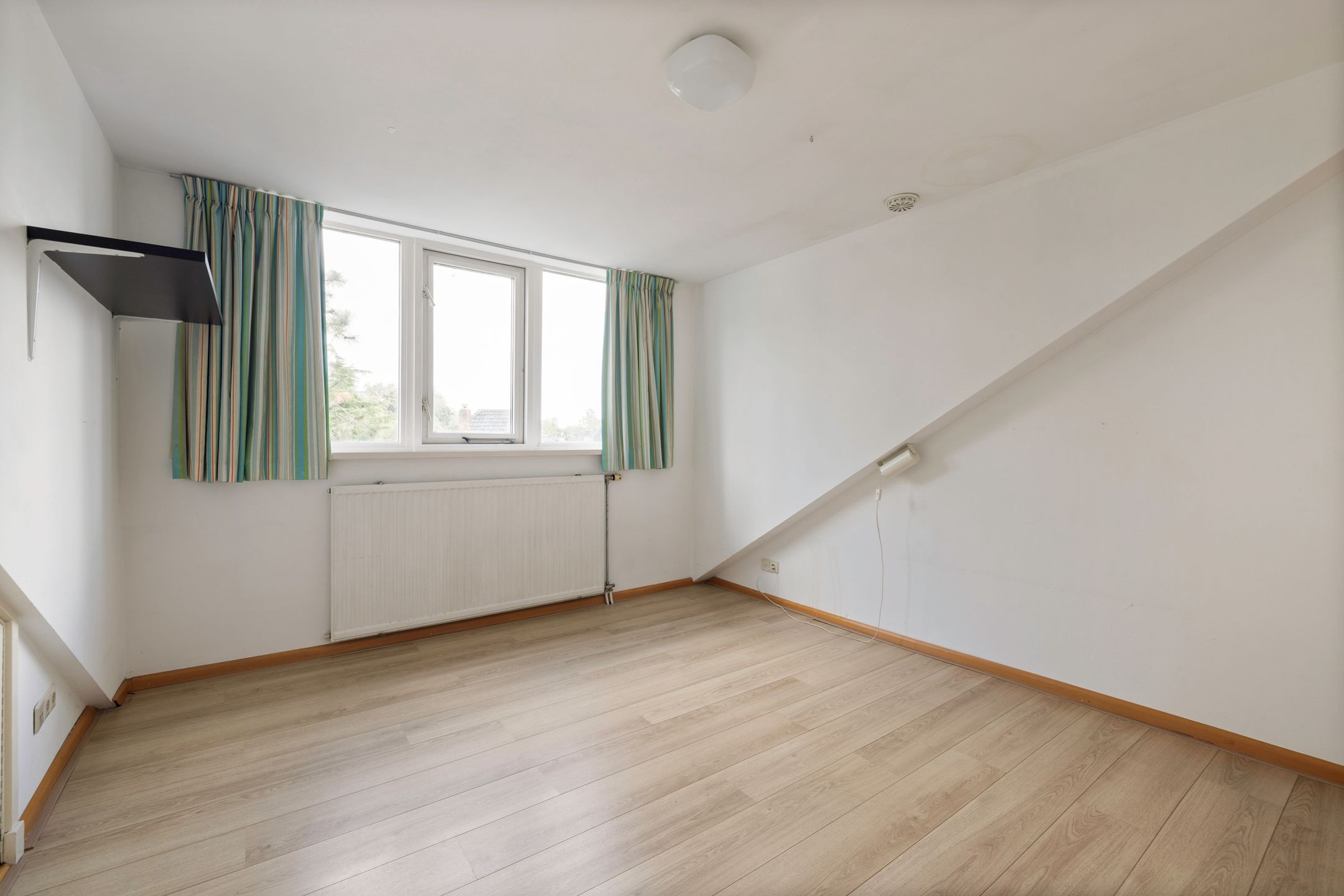 Foto 45 van Laanhorn 2