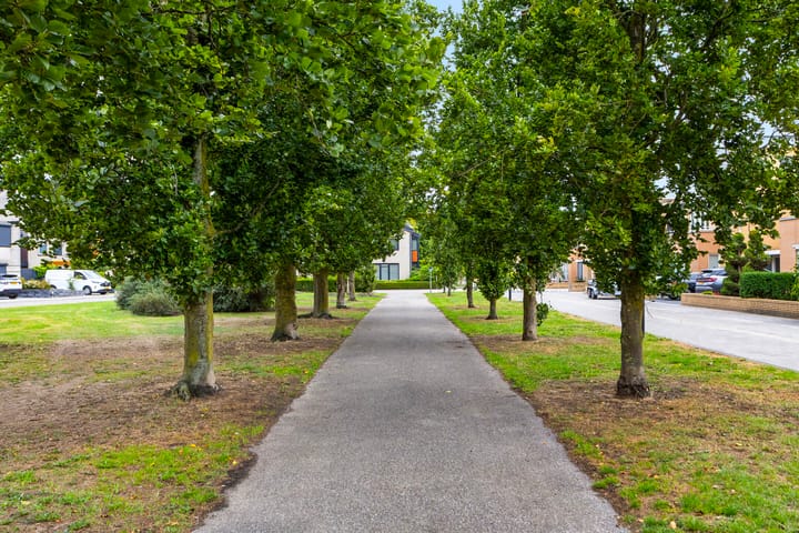 Photo 42 of Luchtenburg 2