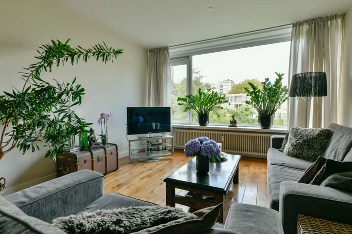 Foto 2 van Meander 733