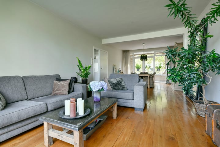 Foto 7 van Meander 733