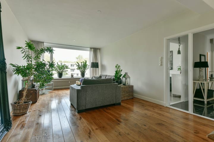 Foto 10 van Meander 733