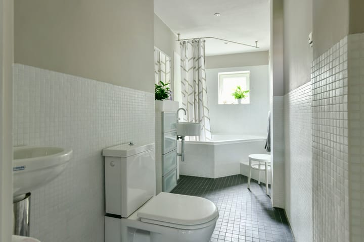 Foto 17 van Meander 733