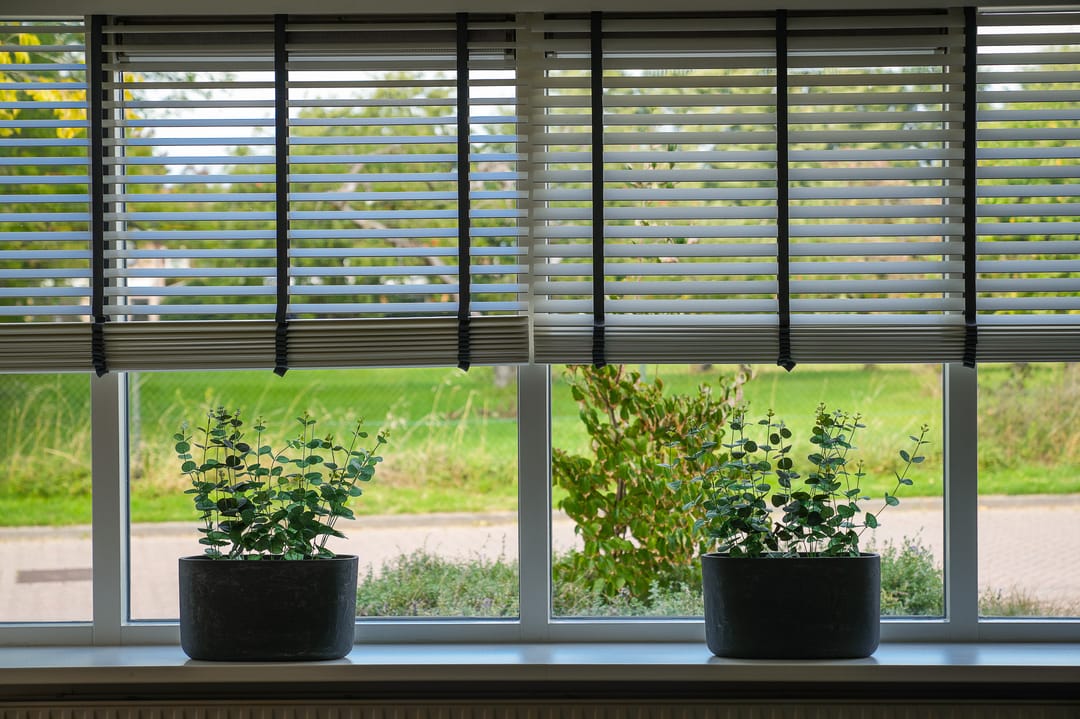 Foto 8 van Uithof 20