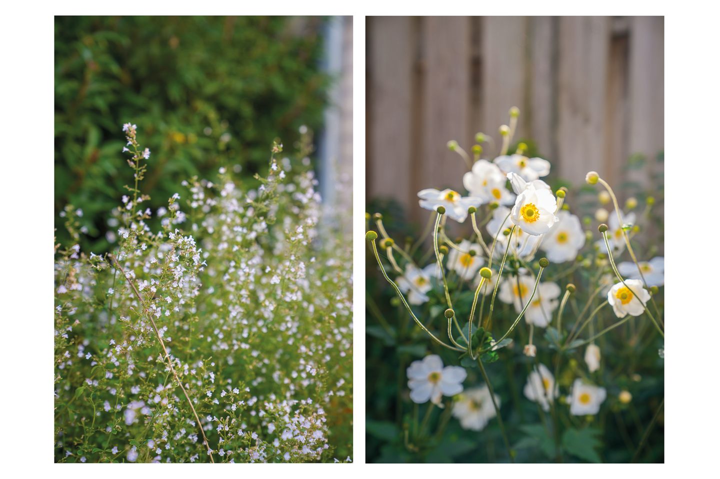 Foto 40 van Uithof 20