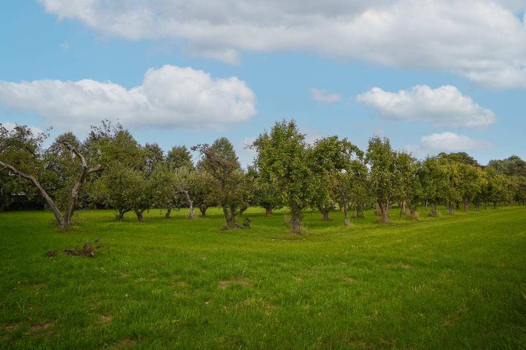 Foto 47 van Uithof 20