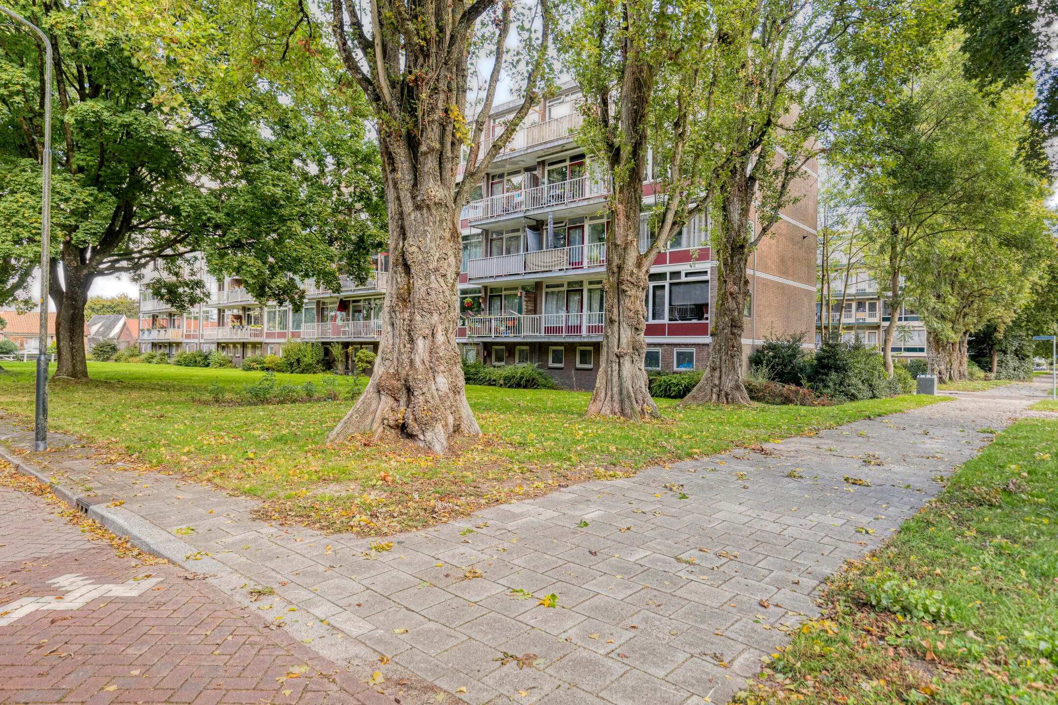 Foto 27 van Piersonstraat 22