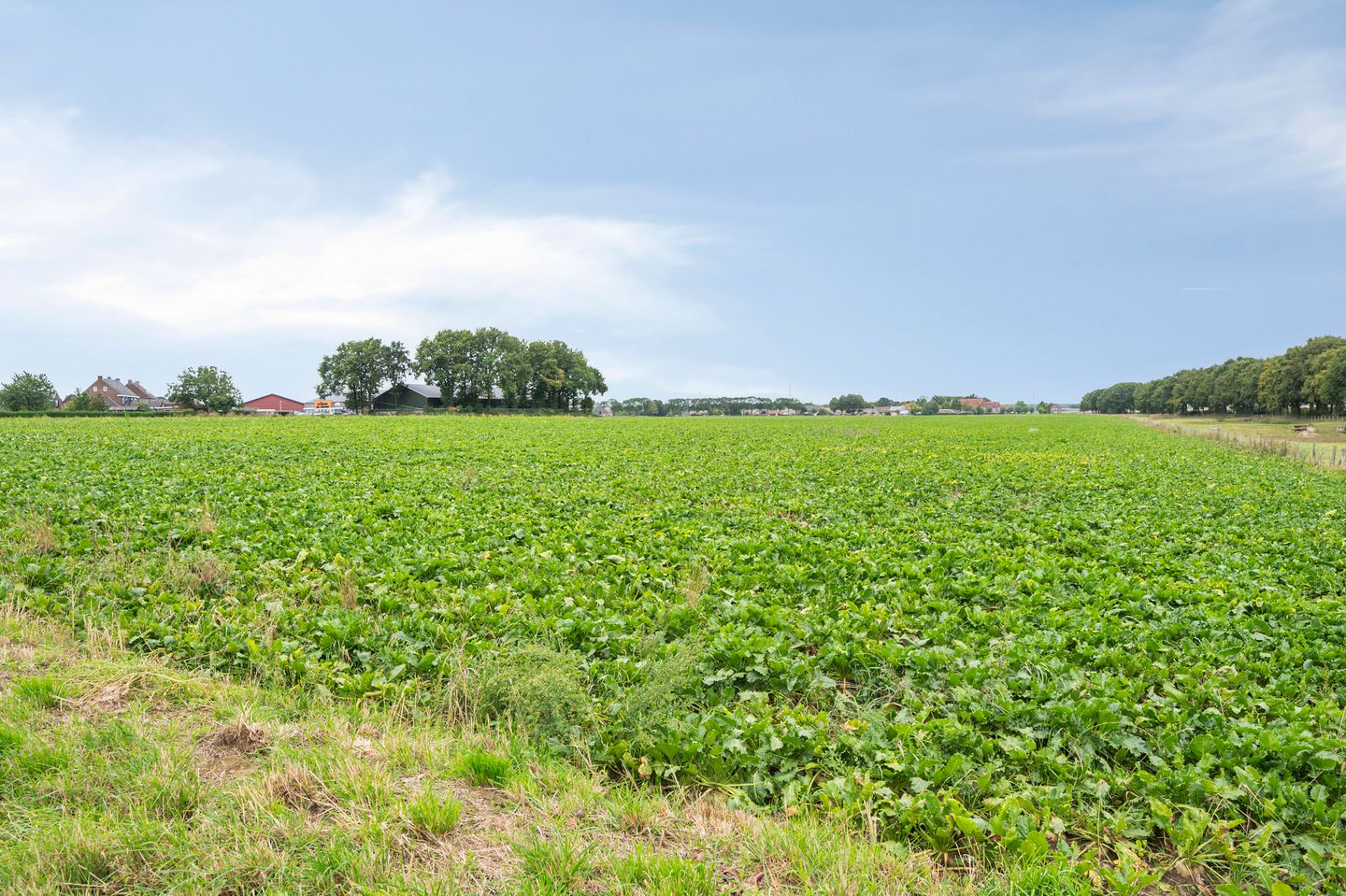 Foto 10 van Vosdaalstraat 16