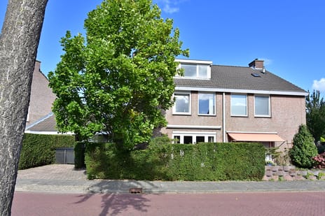 Schout 46 secondary image