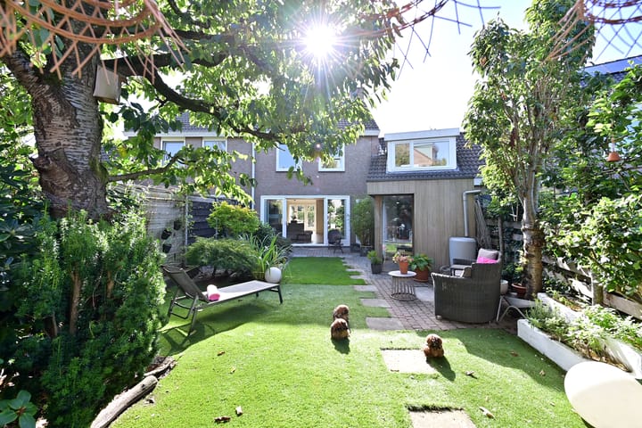 Foto 25 van Schout 46