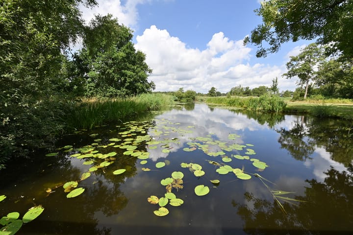 Foto 30 van Schout 46