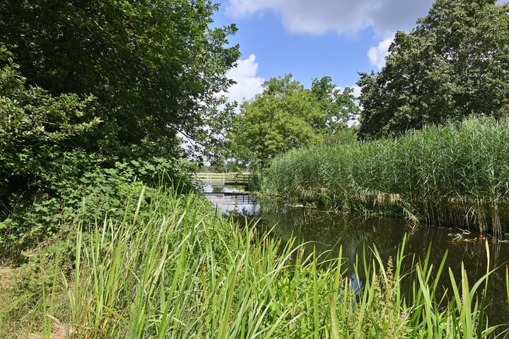 Foto 31 van Schout 46