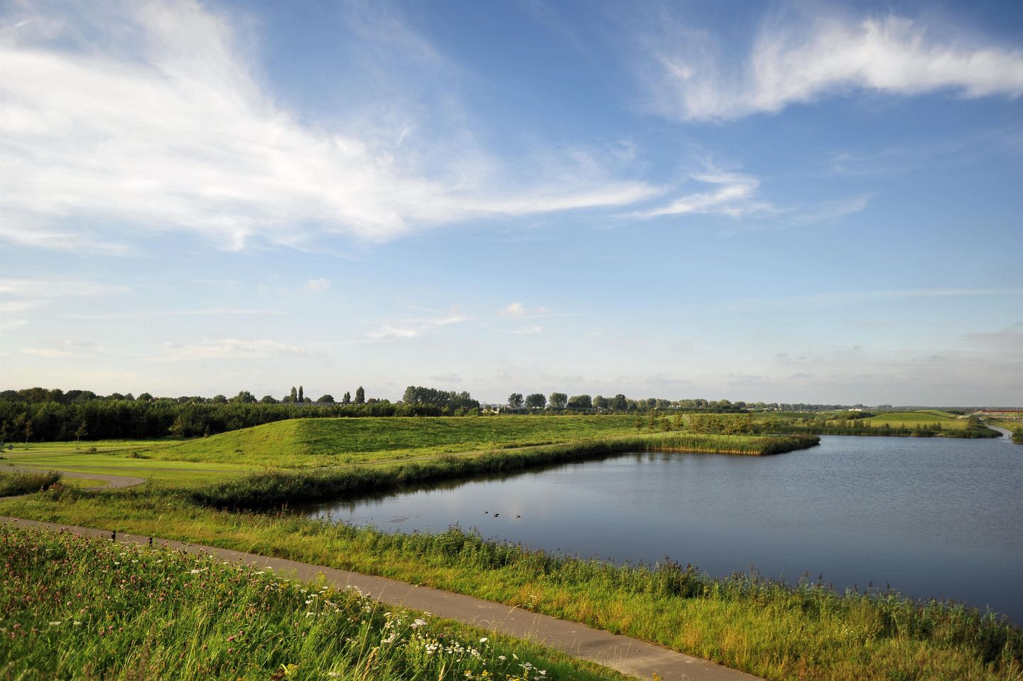 Foto 1 van Kavels Boseilanden Zuid