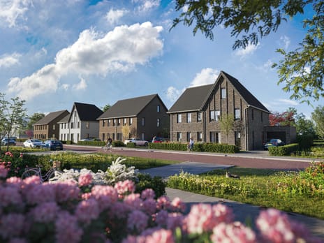 Weideblik Fase 3 secondary image