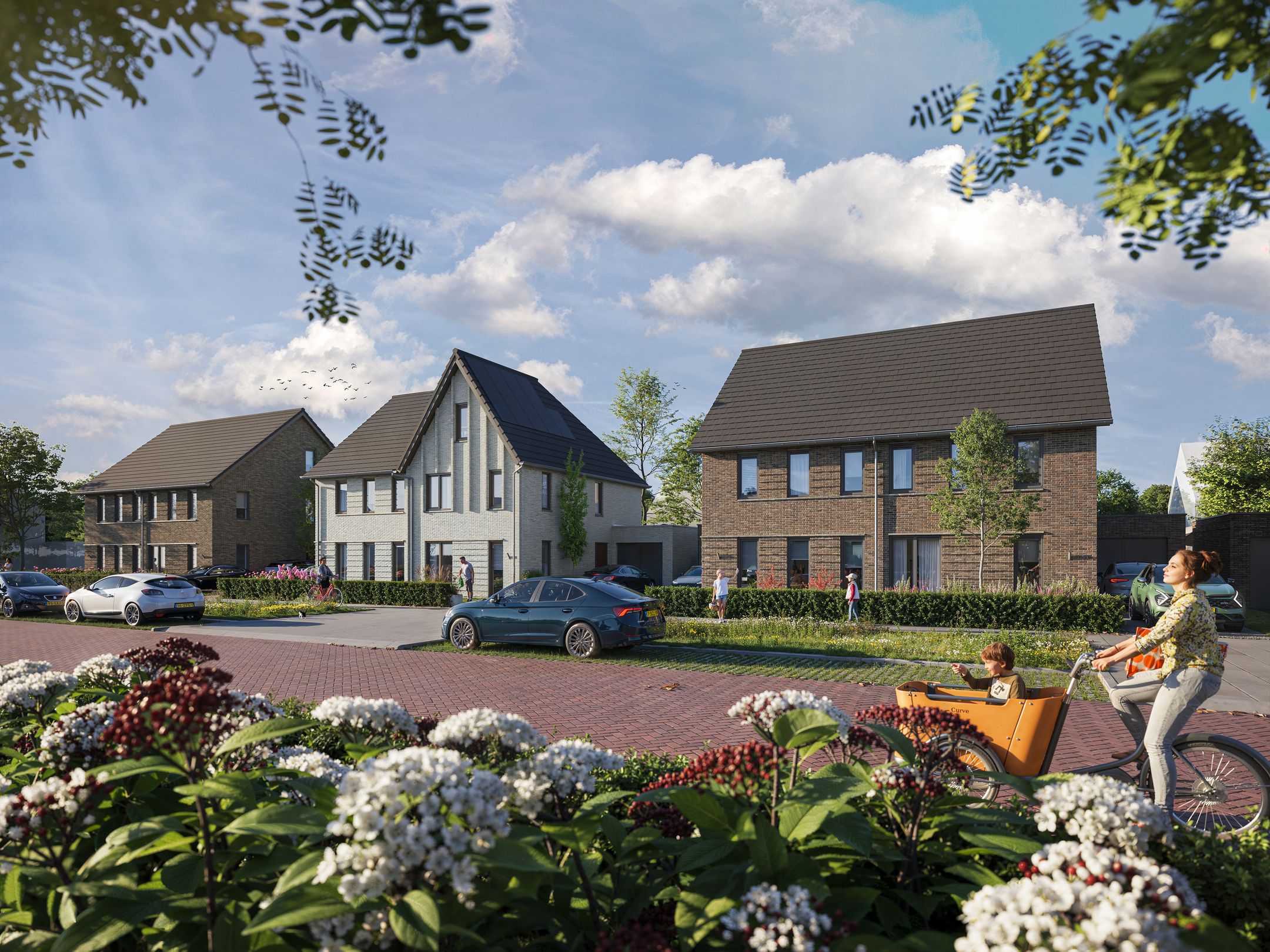 Foto van Weideblik Fase 3