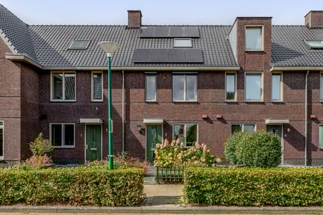 undefined main image