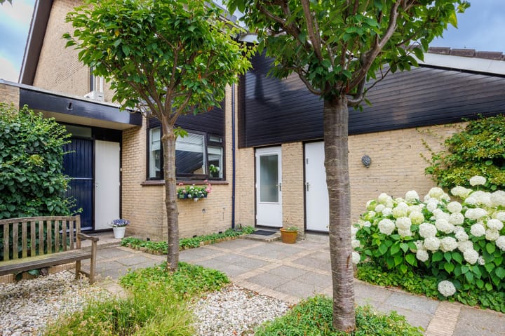 Foto 4 van Bottelroos 4