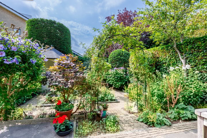 Foto 22 van Bottelroos 4