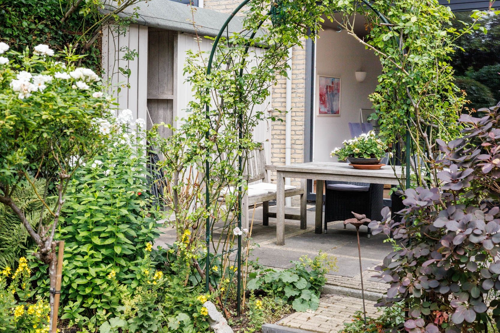 Foto 24 van Bottelroos 4