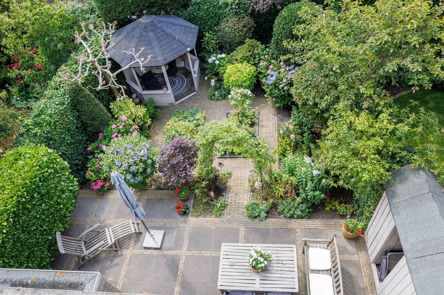 Foto 44 van Bottelroos 4