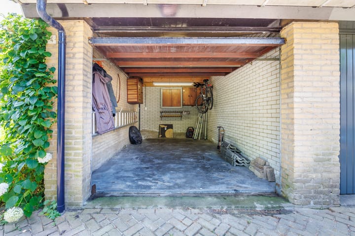 Foto 47 van Bottelroos 4