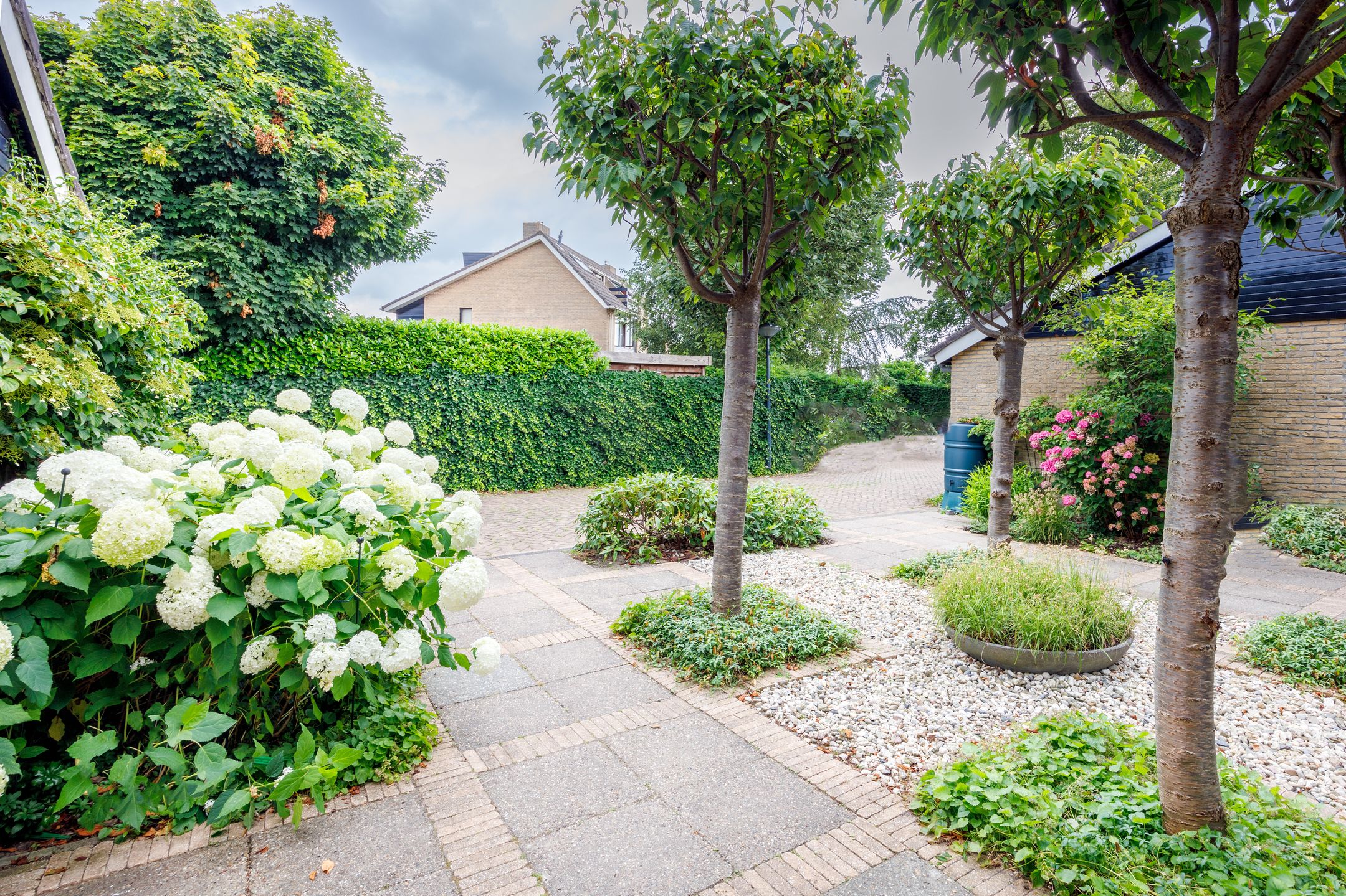 Foto 48 van Bottelroos 4