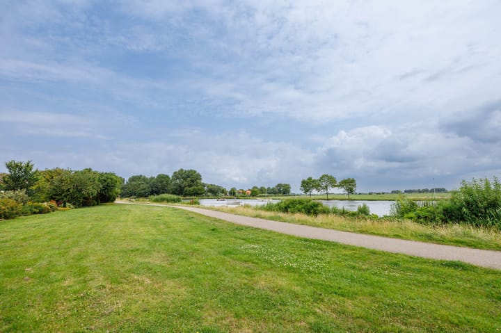 Foto 49 van Bottelroos 4