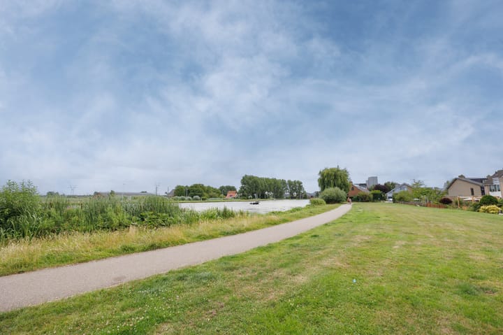 Foto 50 van Bottelroos 4