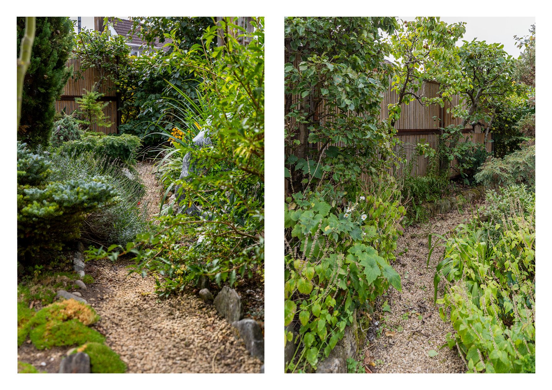 Foto 57 van Gaffelaar 29