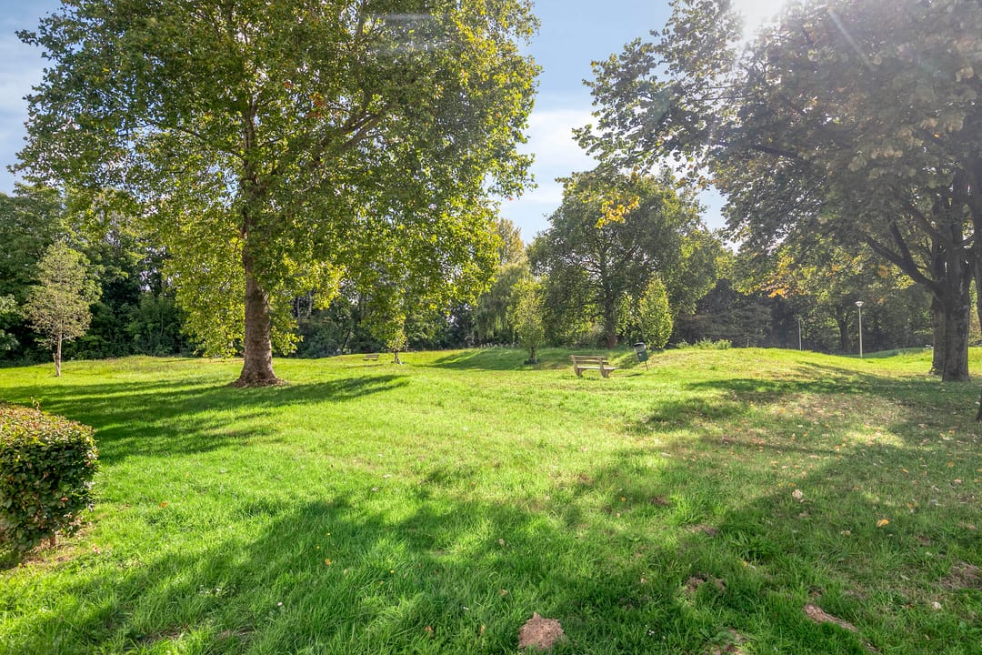 Foto 26 van Malvert 7516