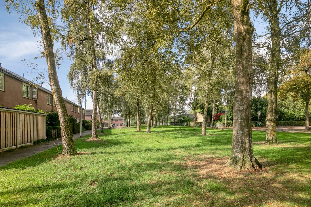 Foto 28 van Malvert 7516