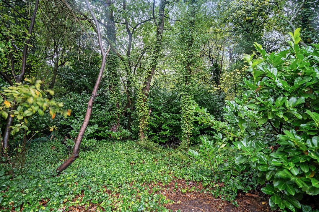 Photo 37 of 't Hertenspoor 5