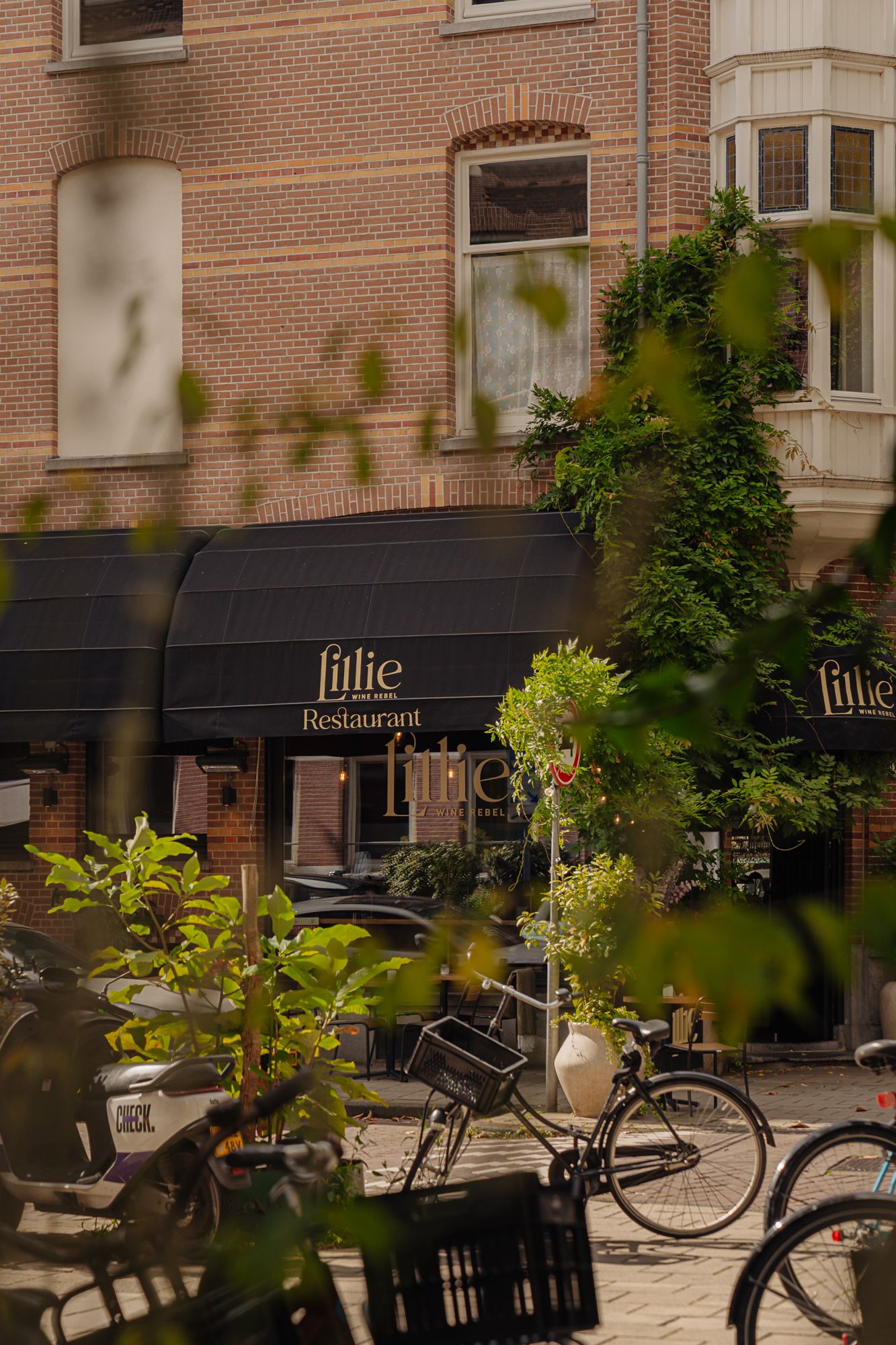 Photo 48 of Van Breestraat 98-3