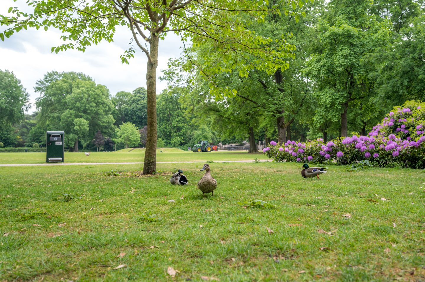 Foto 40 van Galvanistraat 2