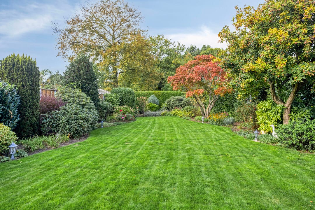 Foto 43 van Margaretha Roosenboomlaan 50