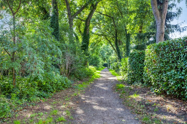 Photo 49 of Margaretha Roosenboomlaan 50