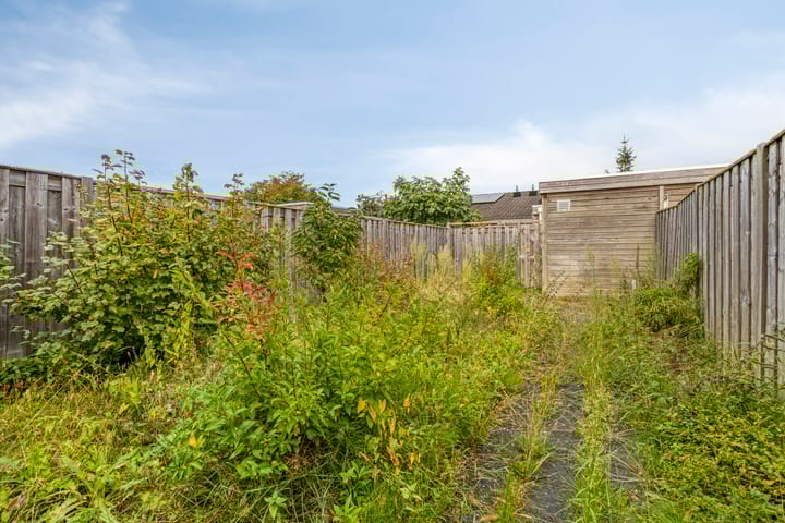 Foto 28 van Lieven de Keystraat 32