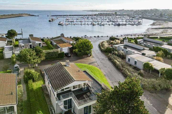 Photo 3 of Ostrea 50