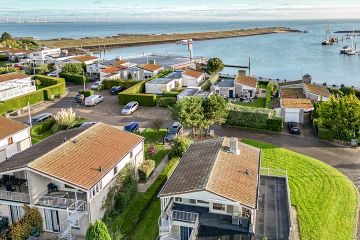 Photo 4 of Ostrea 50