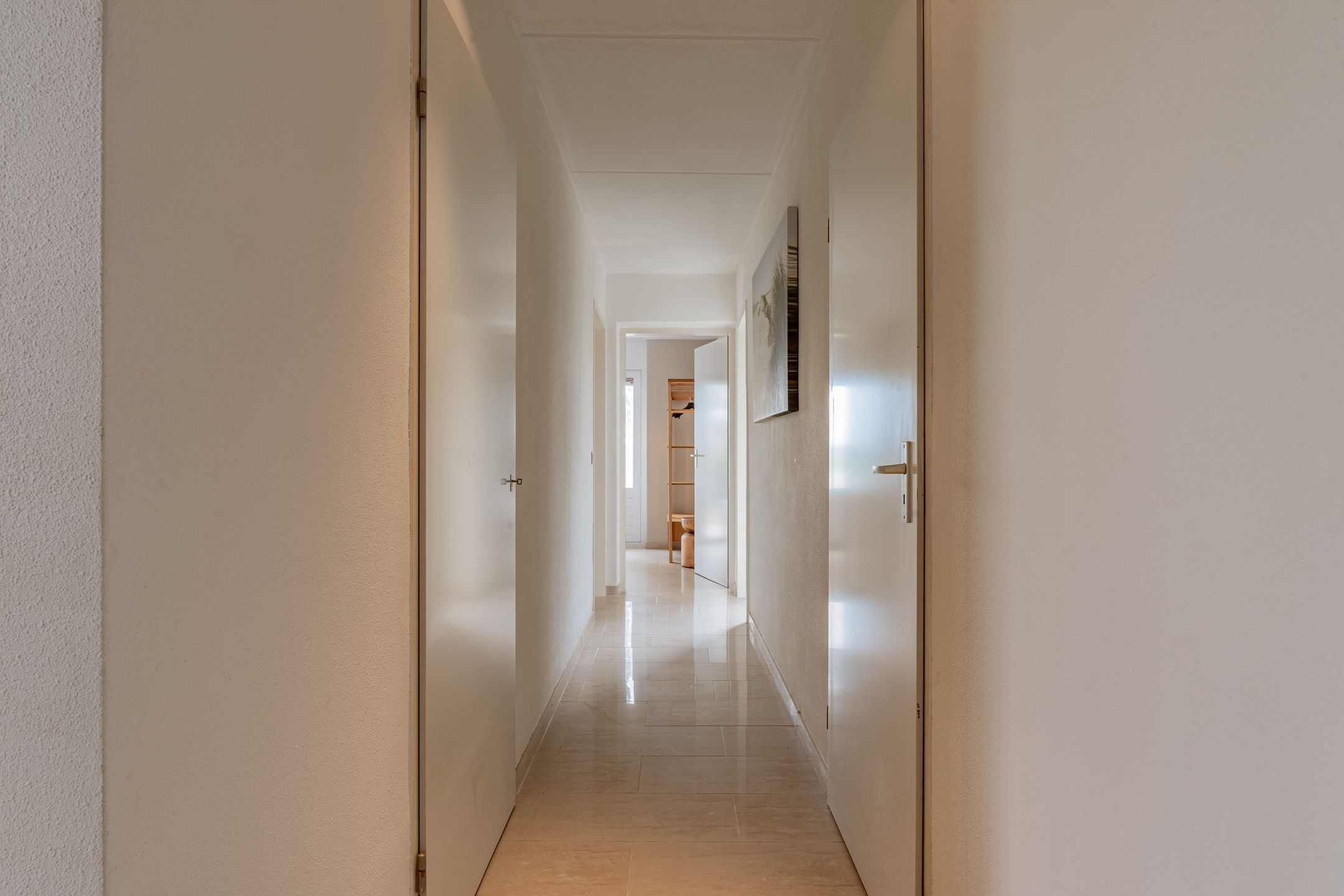 Photo 33 of Ostrea 50
