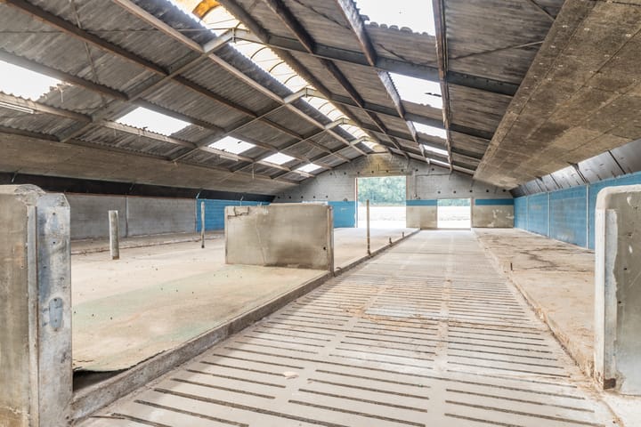 Photo 36 of Breukelderveestraat 27