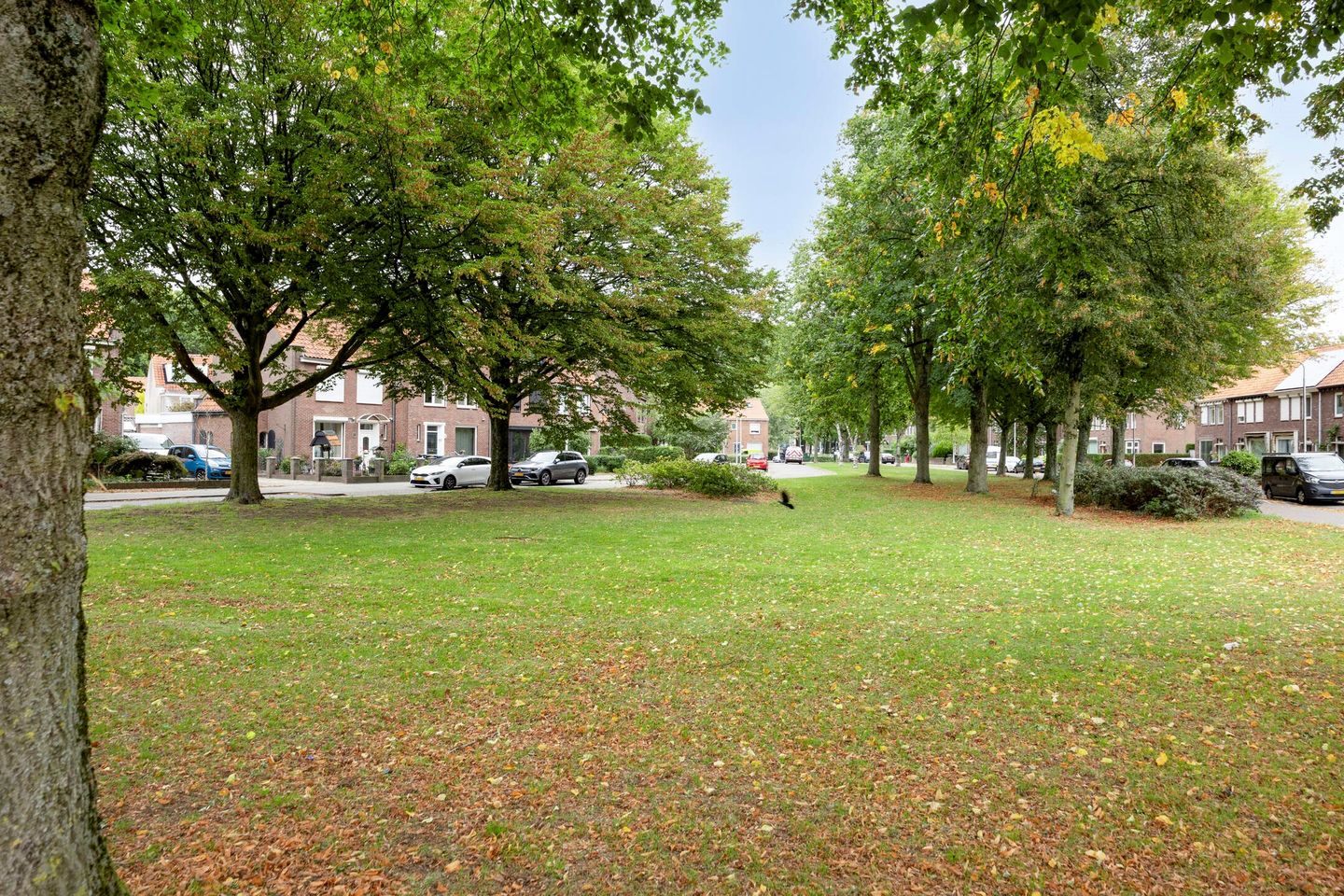 Foto 44 van Duifstraat 13