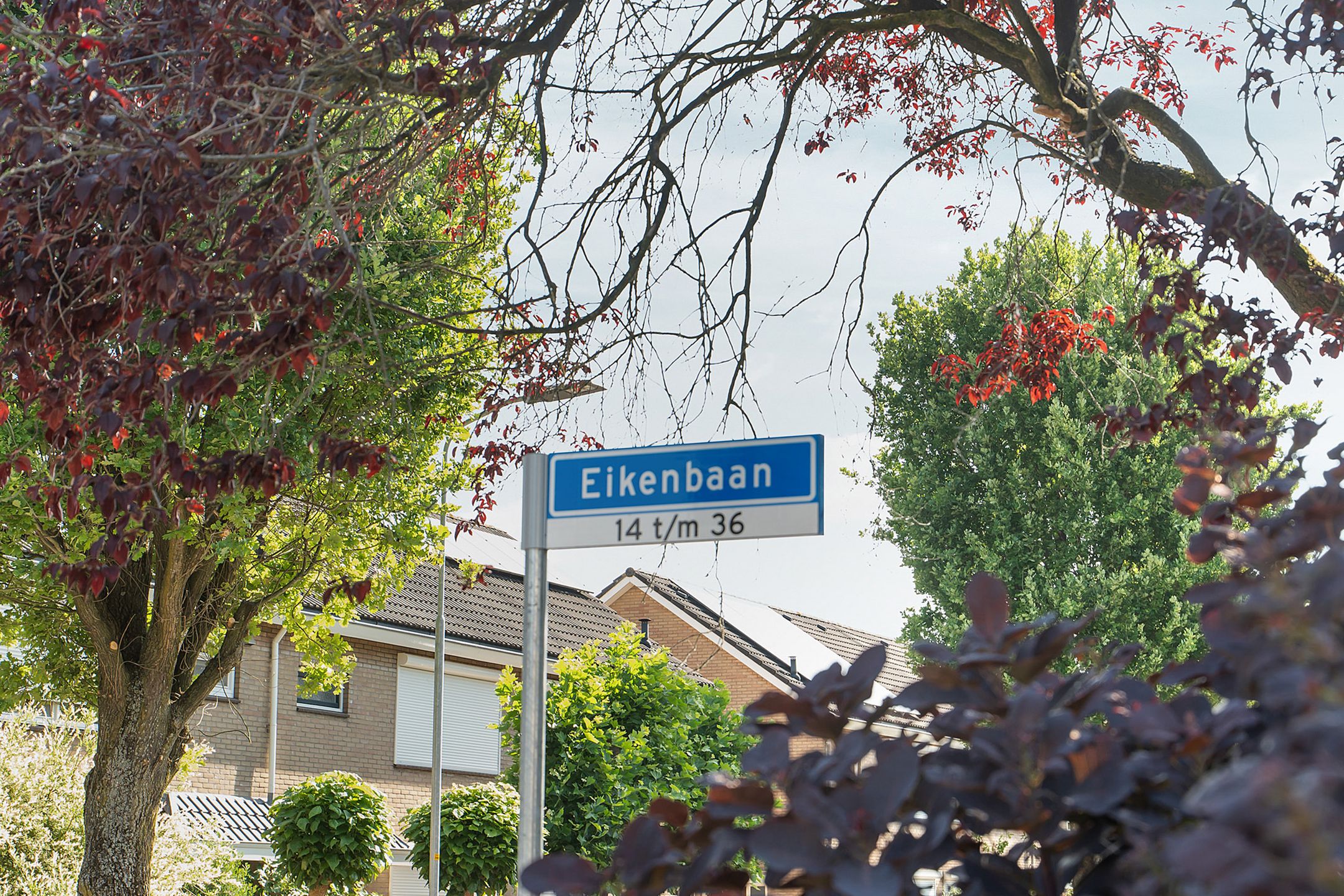 Foto 42 van Eikenbaan 16