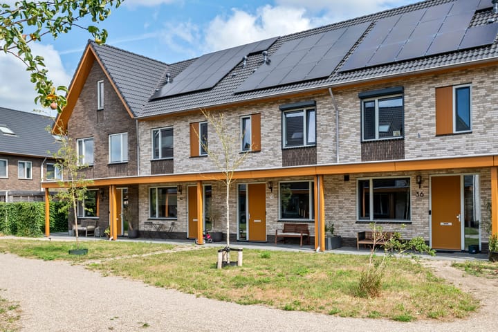 Foto 48 van de Horde 38