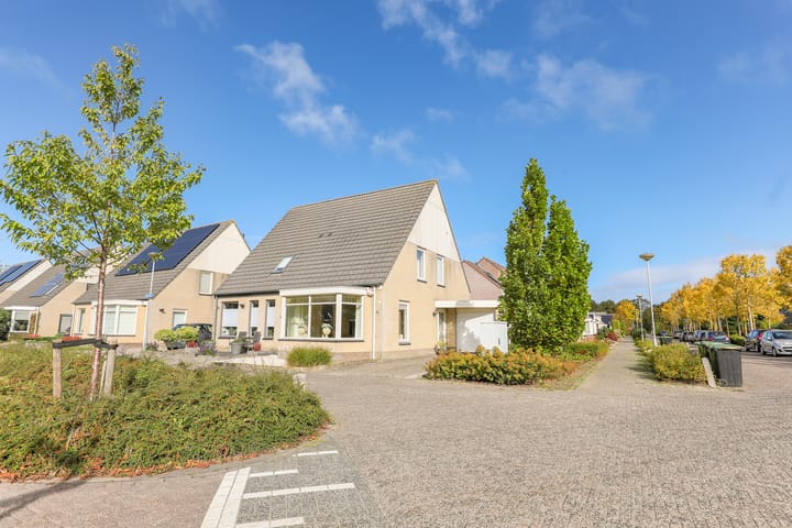 Photo 50 of De Bouw 29