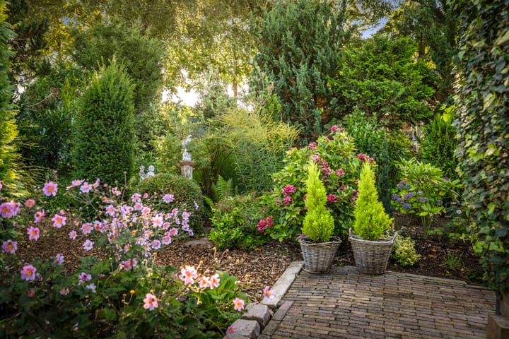 Photo 38 of Vermeersweg 11